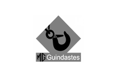 logo MG Guindastes